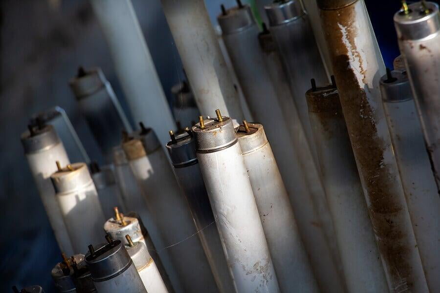 Fluorescent lamps in trash dumpster